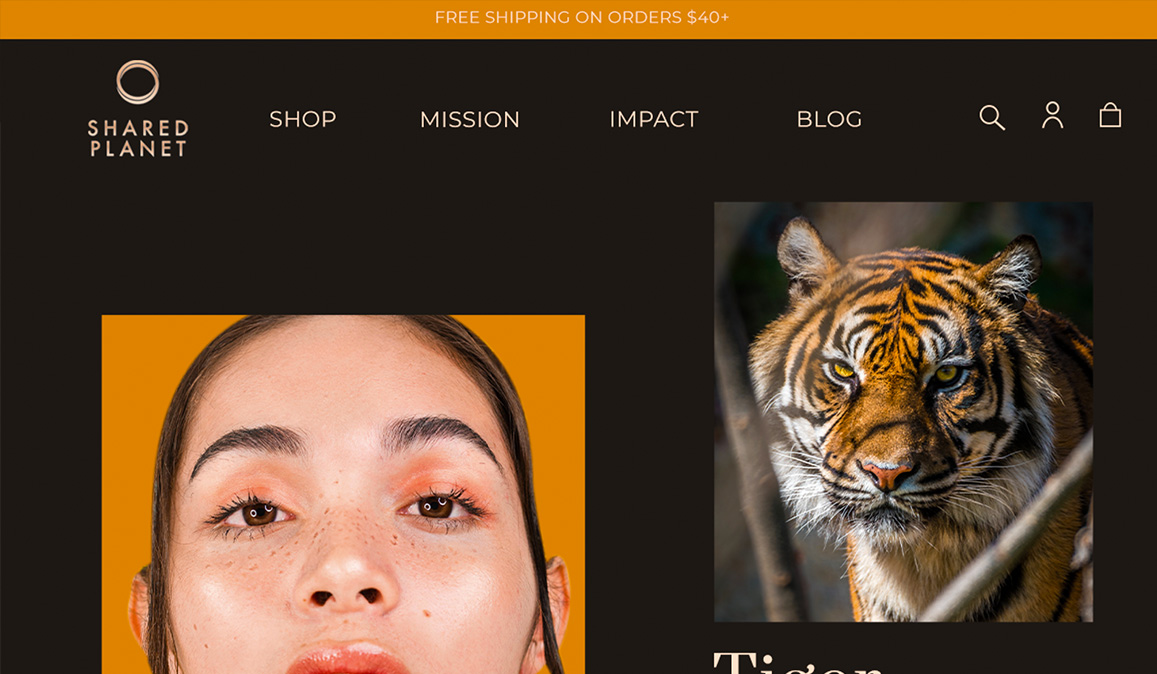 Makeup Website